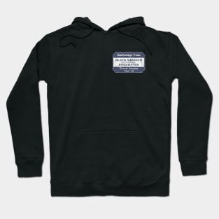 Backstage Pass Pocket Tee Hoodie